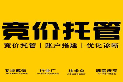 SEM托管公司案例解析：账户优化策略